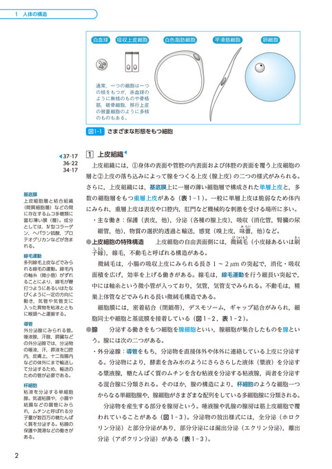 サクセス管理栄養士・栄養士養成講座 生化学 第6版