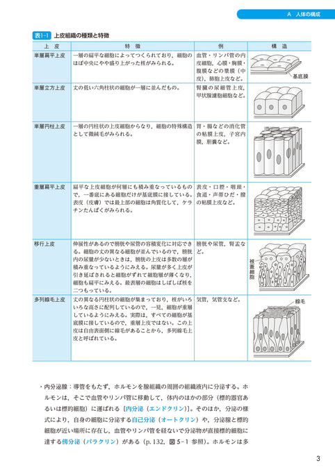 サクセス管理栄養士・栄養士養成講座 生化学 第6版