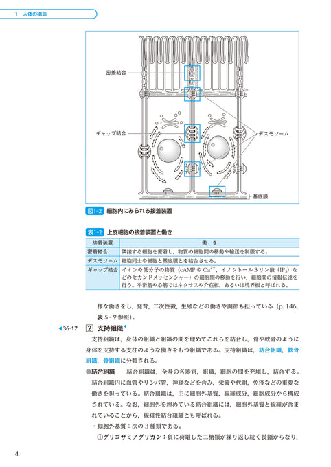 サクセス管理栄養士・栄養士養成講座 生化学 第6版