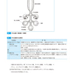 サクセス管理栄養士・栄養士養成講座 生化学 第6版