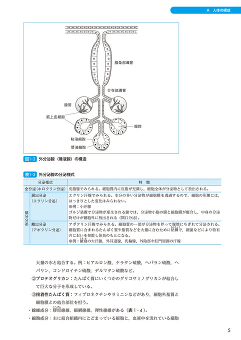 サクセス管理栄養士・栄養士養成講座 生化学 第6版