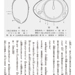 【予約受付中】榮養